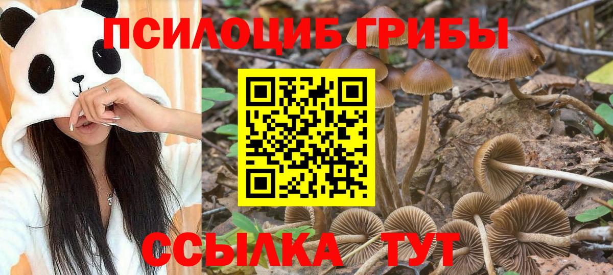 Псилоцибиновые грибы мухоморы  Вход с VPN  Благовещенск 