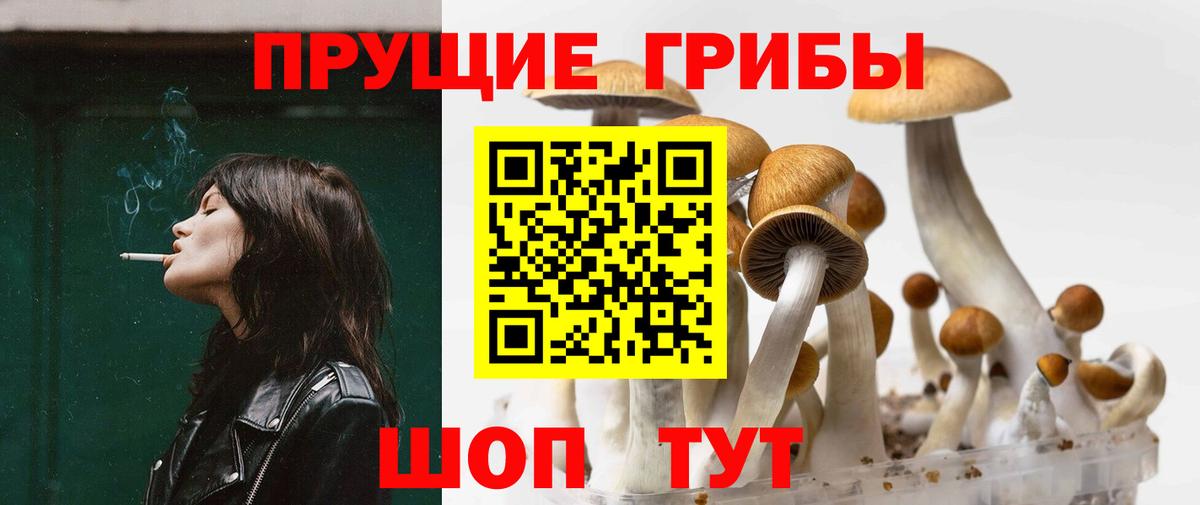 Галлюциногенные грибы Magic Shrooms Благовещенск